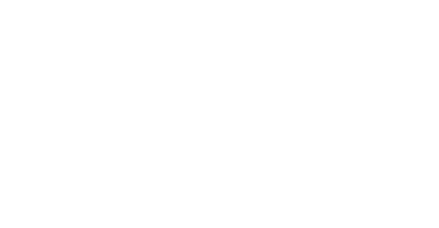 Stomvi logo