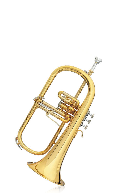 b&s flugel horns