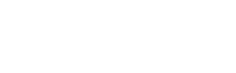 hans hoyer logo